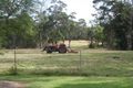Property photo of 45-47 Bloodwood Road Fiddletown NSW 2159
