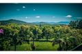 Property photo of 24 Hobson Close Bellingen NSW 2454