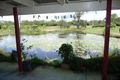 Property photo of 329 Intrepid Drive Foreshores QLD 4678