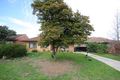 Property photo of 52 Crozier Avenue Newton SA 5074