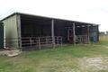 Property photo of 7259 Isis Highway Eureka QLD 4660
