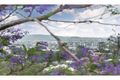 Property photo of 5/26 Simpsons Road Bardon QLD 4065