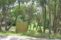 Property photo of 14 Minni Ha Ha Road Katoomba NSW 2780