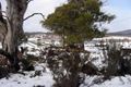 Property photo of 2 Fleming Drive Miena TAS 7030