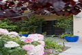Property photo of 75A Beach Street Bicton WA 6157