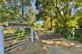 Property photo of 120 Ratho Road Young NSW 2594