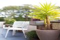 Property photo of 9/118 Fisher Road Dee Why NSW 2099