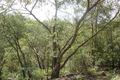 Property photo of 26 Yoogali Terrace Blaxland NSW 2774