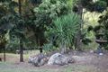 Property photo of 44 Gray Road Illinbah QLD 4275
