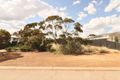 Property photo of 8 Shields Crescent Wongan Hills WA 6603