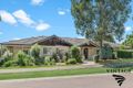 Property photo of 16 Turpentine Close Pokolbin NSW 2320