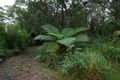 Property photo of 163A North Road Lower Beechmont QLD 4211
