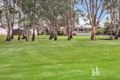 Property photo of 11 Rob Loxton Road Walker Flat SA 5238