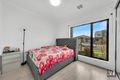 Property photo of 23 Wattleseed Drive Fraser Rise VIC 3336