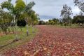 Property photo of 44 Dressage Circle Deepdale WA 6532