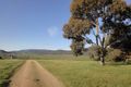 Property photo of 244 Blacks Flat Road Mudgegonga VIC 3737