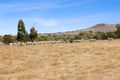 Property photo of 35 Kangaroo Point Road Denicull Creek VIC 3377