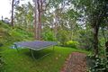 Property photo of 556 Upper Landershute Road Landers Shoot QLD 4555