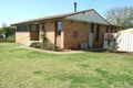 Property photo of 70 Corbett Avenue Dubbo NSW 2830