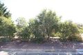 Property photo of 44 Horseshoe Drive Woodcroft SA 5162