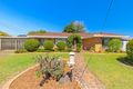 Property photo of 3 Babiana Street Alexandra Hills QLD 4161