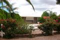 Property photo of 19 McConnal Road Stirling North SA 5710