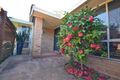 Property photo of 9 Evison Close Cambewarra Village NSW 2540