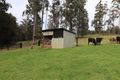 Property photo of 3854 Princes Highway Bellbird Creek VIC 3889