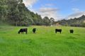 Property photo of 62 Hermitage Road Kurrajong Hills NSW 2758