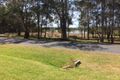 Property photo of 19 Coomba Road Coomba Park NSW 2428