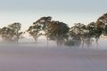 Property photo of 12 Heber Close Cobbitty NSW 2570