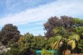Property photo of 2 Belmont Avenue Penshurst NSW 2222