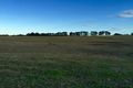 Property photo of 60 Whipbird Road Pheasants Nest NSW 2574