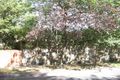 Property photo of 31 Minogue Street Kew East VIC 3102