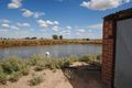 Property photo of 166 Collins Road Leeton NSW 2705