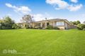 Property photo of 44 Wilson Crescent Narellan NSW 2567