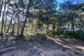 Property photo of 83 Woodlands Circuit Russell Island QLD 4184