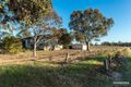Property photo of 46 Nuraip Road Nuriootpa SA 5355