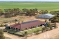 Property photo of 484 Mindarie Road Pyap West SA 5333
