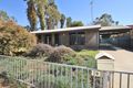 Property photo of 9 Arnott Street Robinvale VIC 3549