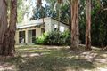 Property photo of 21 Hartley Street Wangetti QLD 4877