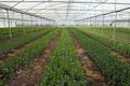 Property photo of 75 Fisheries Road Devon Meadows VIC 3977