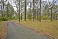 Property photo of 34 Jakes Way Wilton NSW 2571