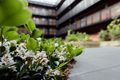 Property photo of 301/11-13 Osgood Avenue Marrickville NSW 2204