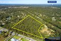Property photo of 56 Boundary Road Medowie NSW 2318
