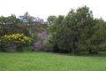 Property photo of 27 Goondooloo Drive Ocean Shores NSW 2483