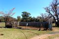 Property photo of 100-110 Bandulla Street Mendooran NSW 2842