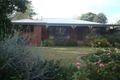 Property photo of 33 Havlin Street East Kennington VIC 3550