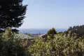 Property photo of 52 Spencer Street Brooklyn TAS 7320