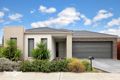 Property photo of 8 Watergum Avenue Craigieburn VIC 3064
